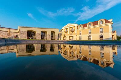 Domeniile Martinuzzi