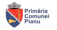 Primaria Comunei Pianu
